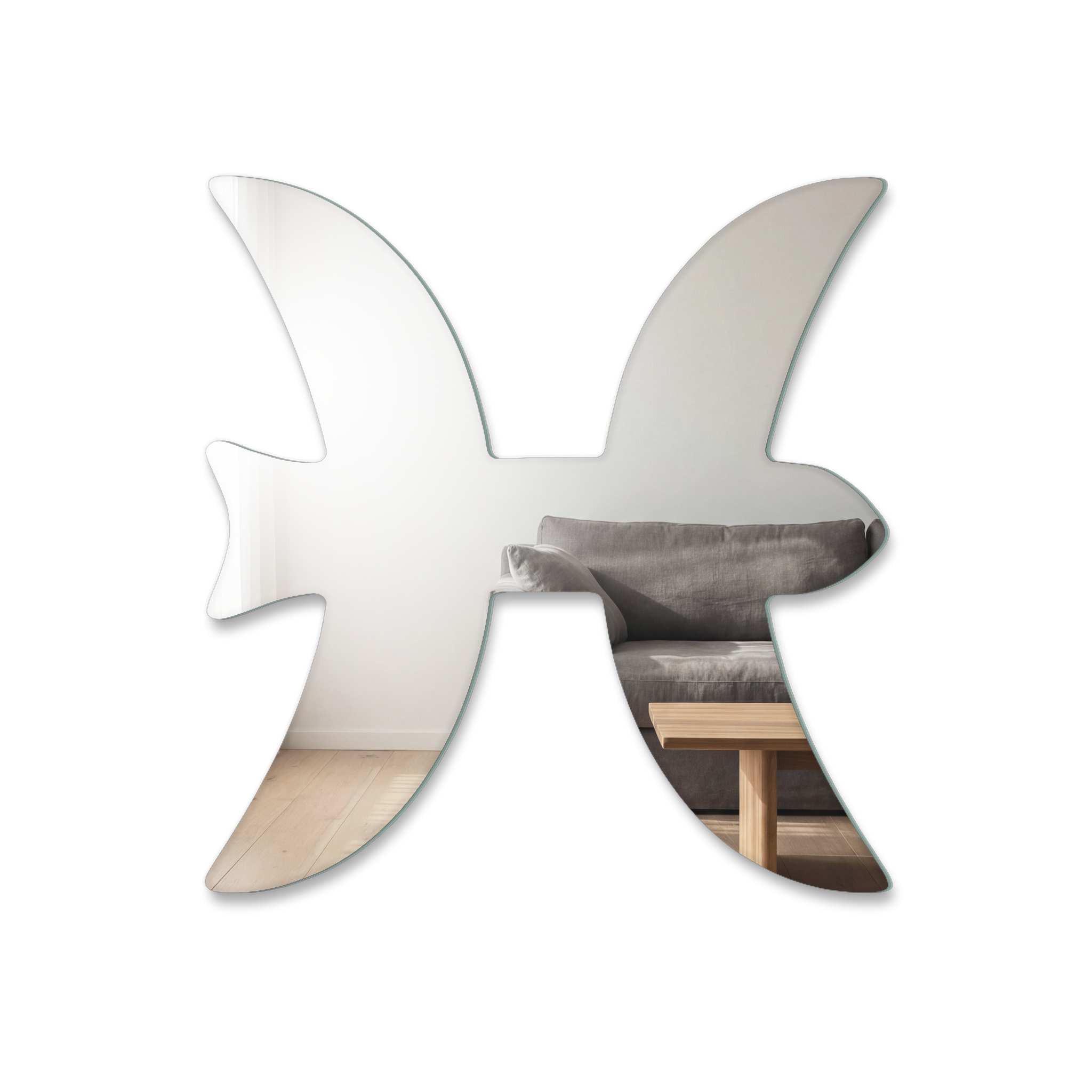 Miroir Symbole Poissons astrologie