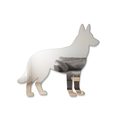 Miroir Chien Berger allemand