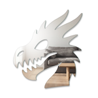Miroir Crâne de dragon