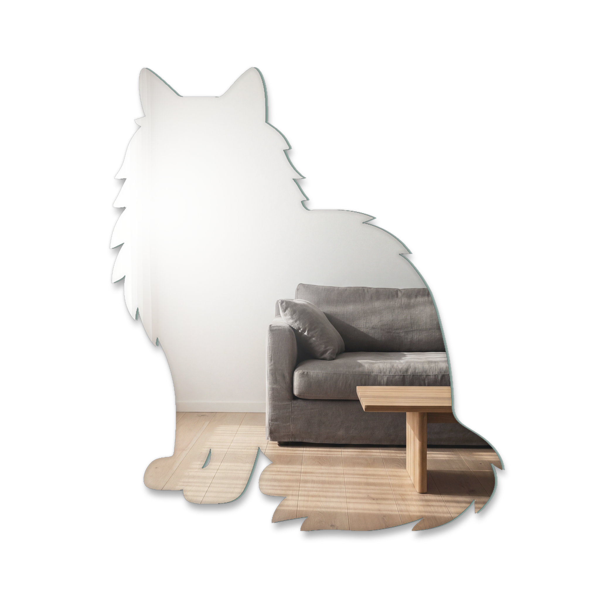 Miroir Chat Norvégien