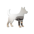 Miroir Chien