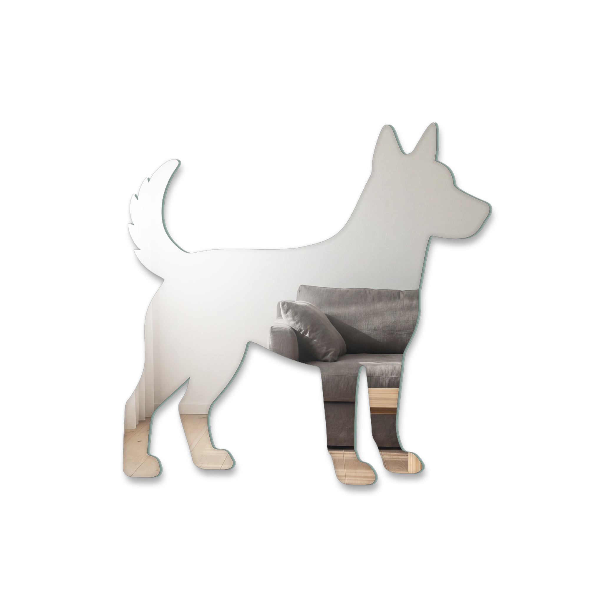 Miroir Chien