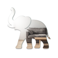 Miroir Éléphant
