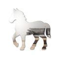 Miroir Cheval