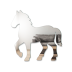 Miroir Cheval