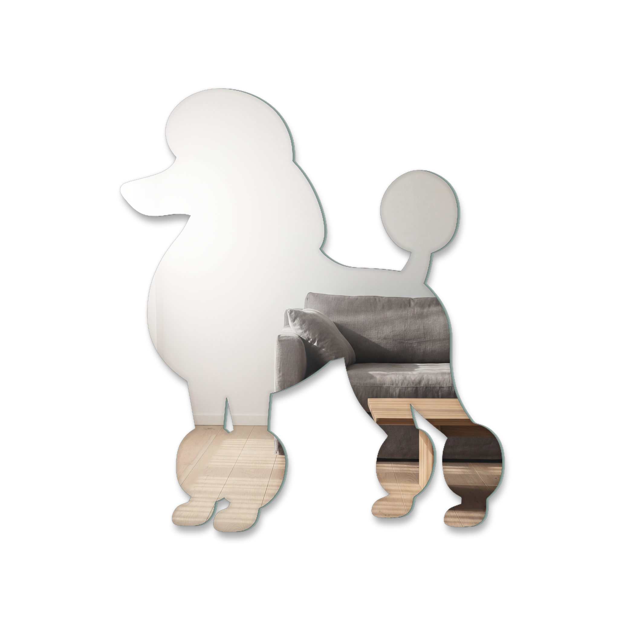 Miroir Chien Caniche