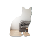 Miroir Chat Chartreux