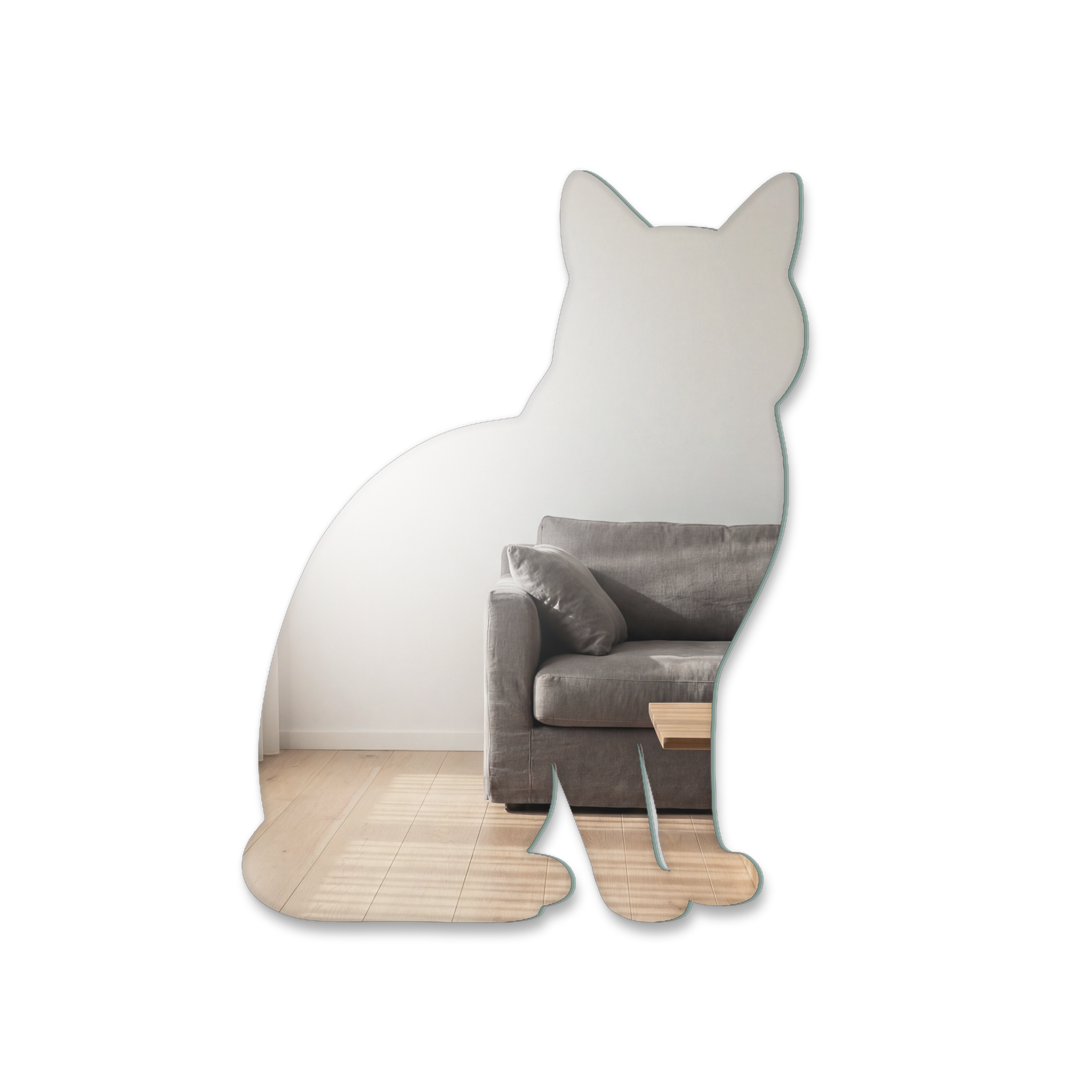 Miroir Chat Chartreux
