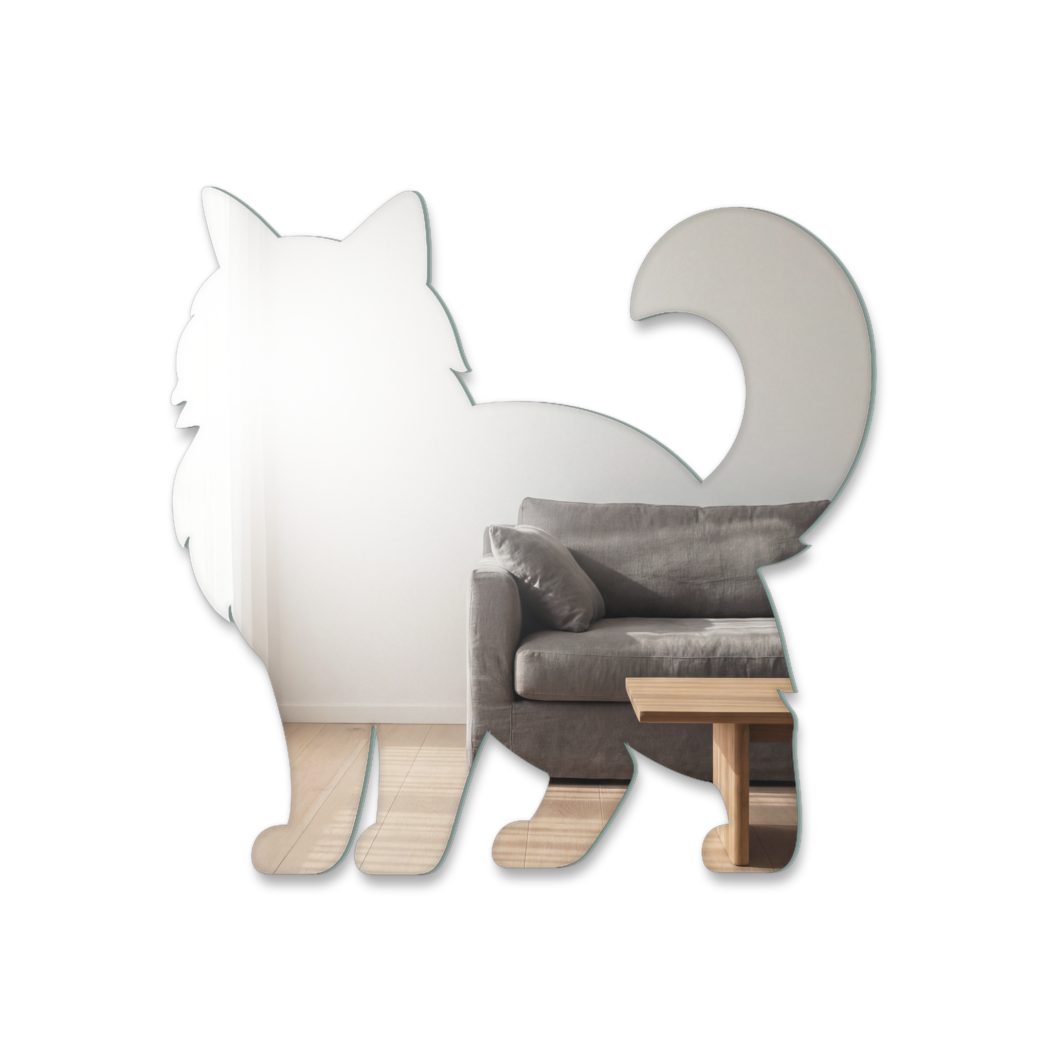 Miroir Chat Sacré de Birmanie