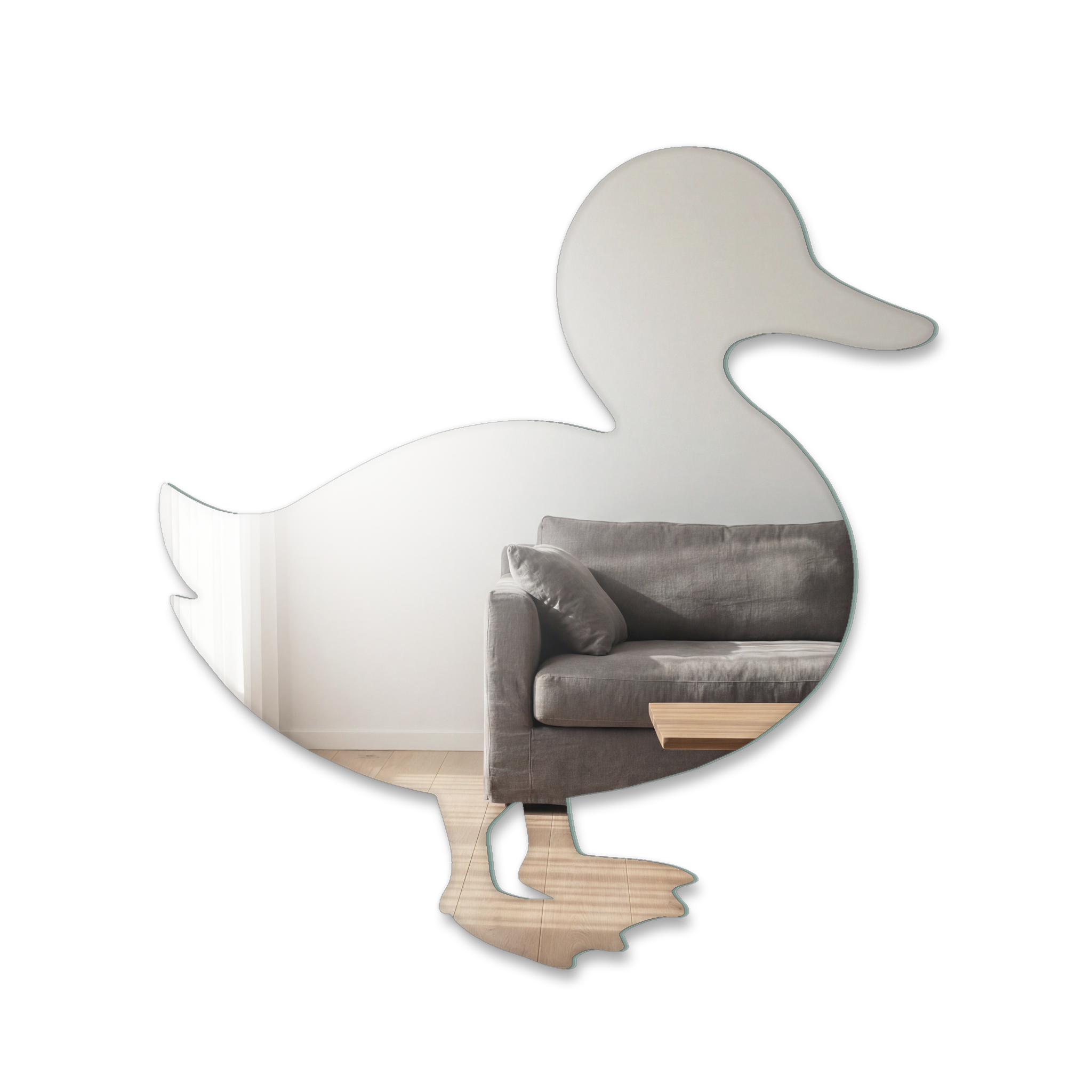 Miroir Canard