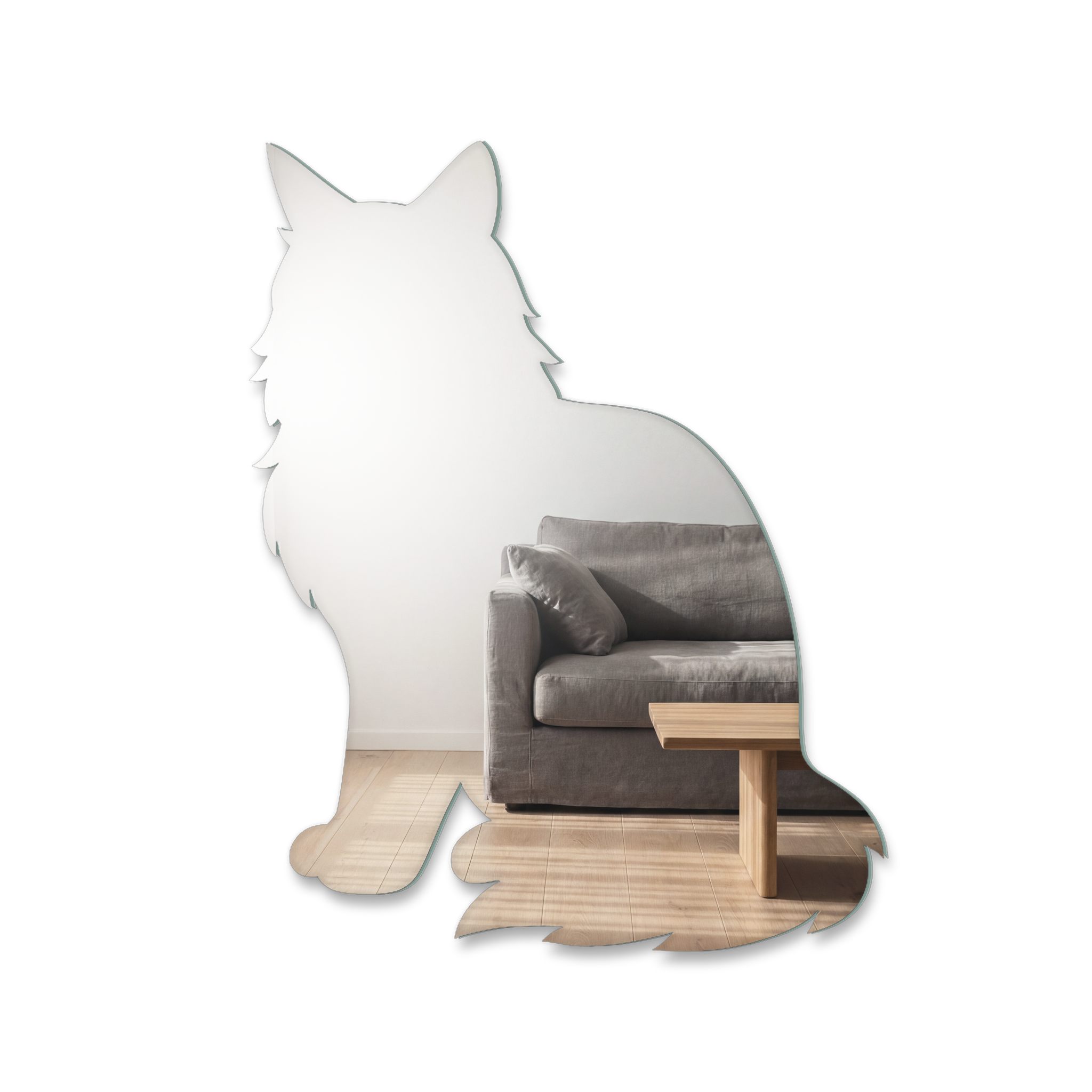 Miroir Chat Maine Coon