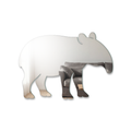 Miroir Tapir