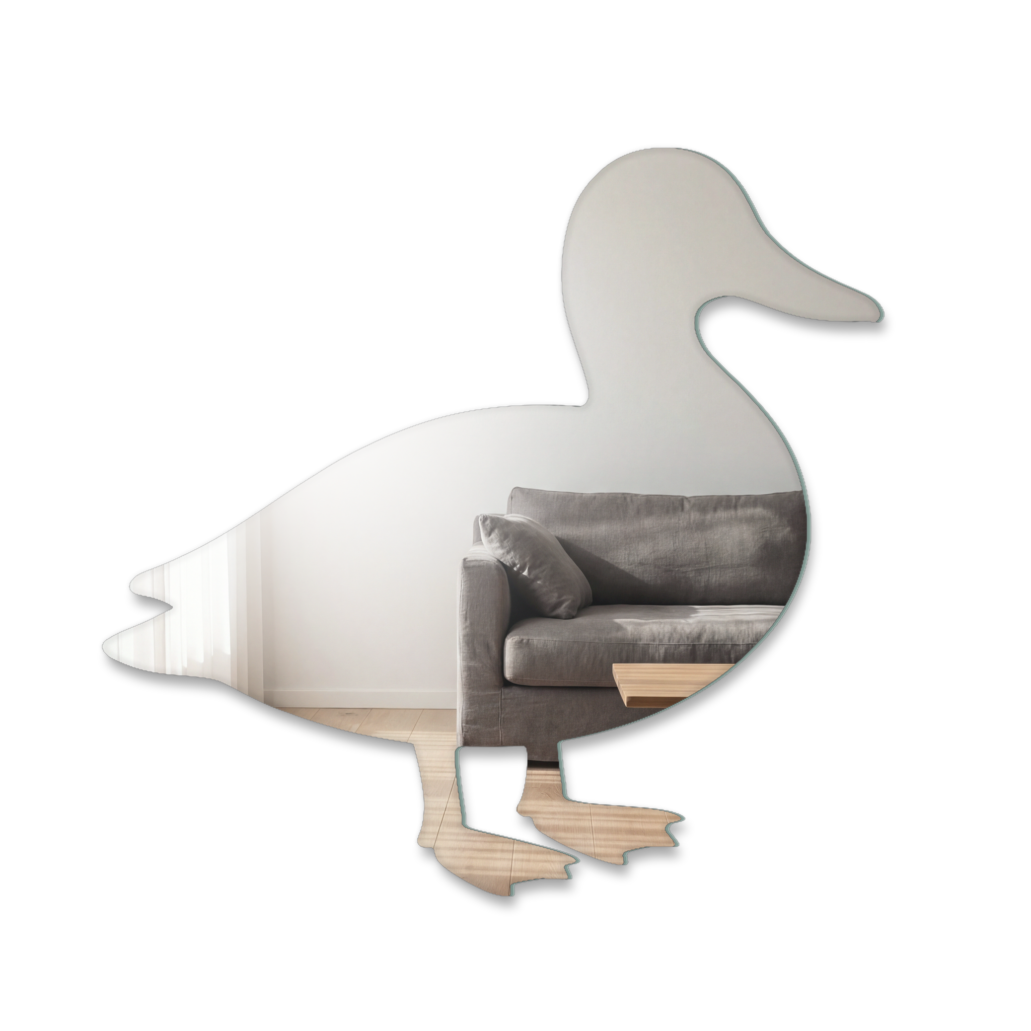 Miroir Canard colvert