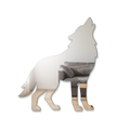 Miroir Loup hurlant
