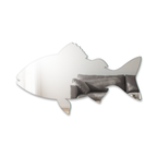 Miroir Poisson entier