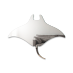 Miroir Raie manta