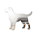 Miroir Chien Labrador retriever
