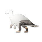 Miroir Iguanodon