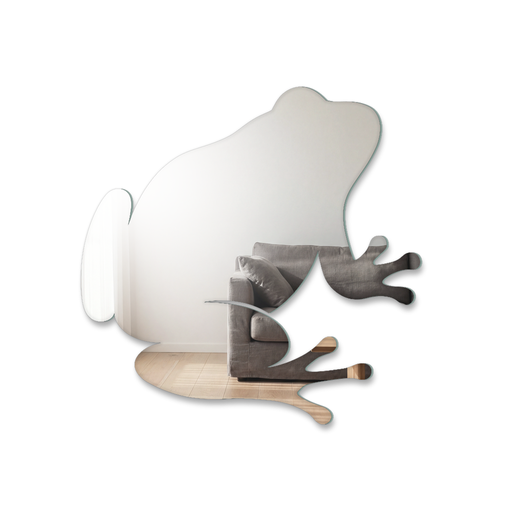 Miroir Grenouille