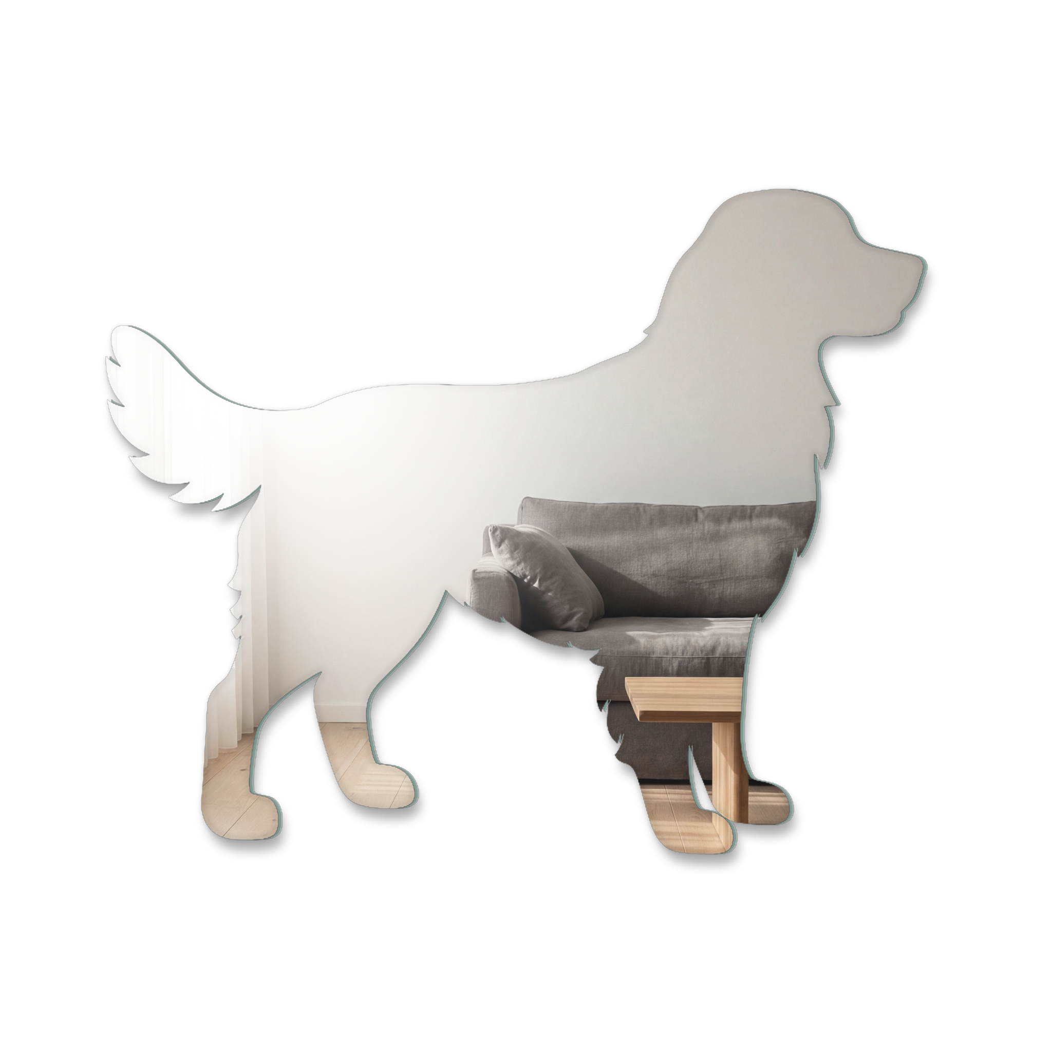 Miroir Chien Golden retriever