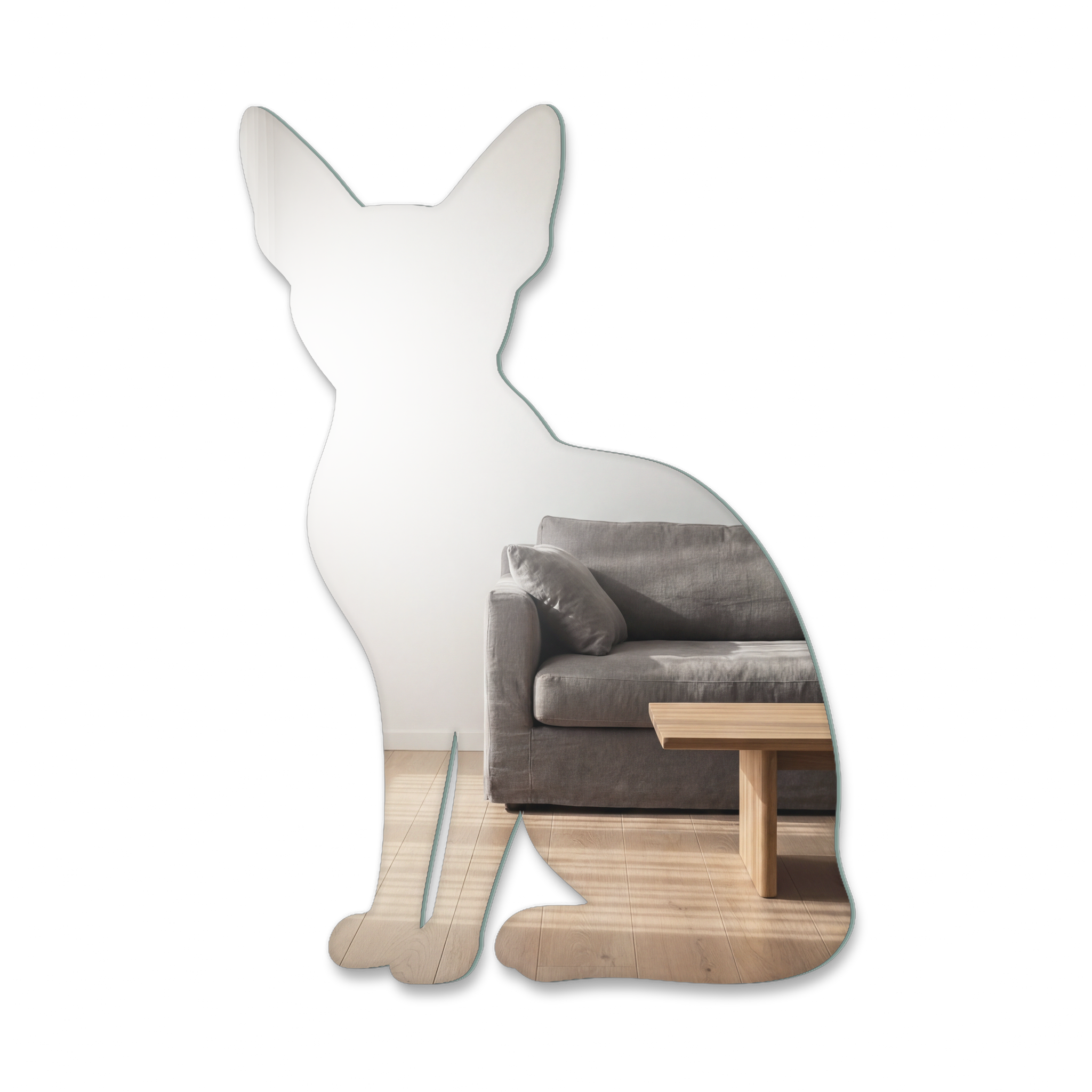 Miroir Chat Sphynx